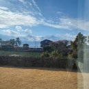 단별장 | 제주독채펜션 단별장 C동 가족 숙박 후기!