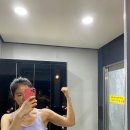 팀박피티샵 이미지