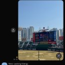 늘조은예스족발 | 벚꽃의 꽃말은 개막 ⚾️