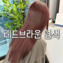 제주 레드브라운 염색 연동 근처 미용실 아씬 시아원장