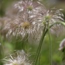 밀양댐생태공원 이미지