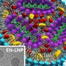 EN바이오 이미지