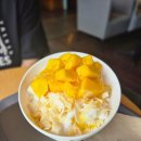 할리스 대전둔산청솔점 | 대전할리스 카페 빙수맛집 [애플망고듬뿍빙수]