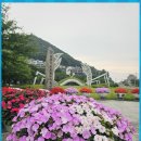 영덕04 Daum카페