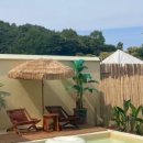 풍월주인 이미지