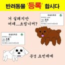 정효주 미용실 | 오늘부터 감성 블로그
