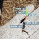 단봉낚시터 이미지