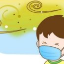 바디앤솔세종 네이버블로그