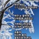 하얀세상 이미지