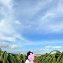 아남농장2 이미지