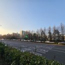 선일초등학교 건너편 이미지