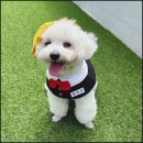 호텔 동래 이미지