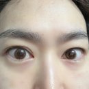 오아시스안경위드렌즈 창원상남점 이미지