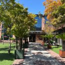 그린보드 이미지