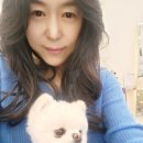 아언헤어 이미지