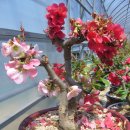 신동농장 이미지