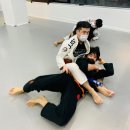 주짓수·복싱 이미지