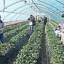 지누농장 이미지