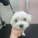 양정카서비스 이미지