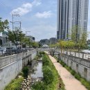 용이네옷수선