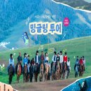 금주투어 이미지