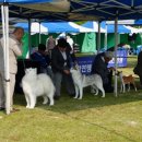 오픈주 하남스타필드점 이미지