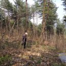 방글농장 이미지