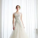 비비드블랑 이미지