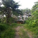 산내면장금보건진료소 이미지