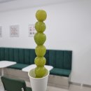 알로이탕후루 이미지