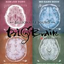 빅브레인 카카오 검색결과