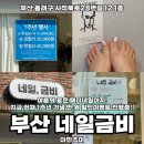부산 사직동 1주년 행사로 패디 받을 수 있는 네일금비