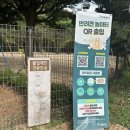 언니네 운동장 이미지