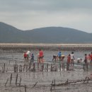 개매기체험장 이미지