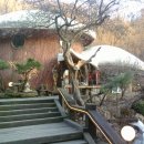 용인나무이야기 이미지