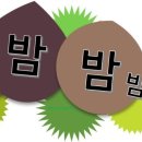 쿠리 이미지
