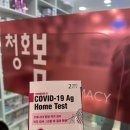 청호봄약국