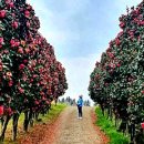 동백자연에너지 이미지