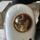 반창꼬동물병원 이미지