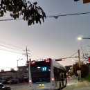 예천여자중학교 앞 이미지