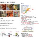 범양종합건설(합) | 산업안전기사 실기 시험 작업형 공부방법 기출 요약 정리