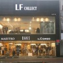 닥스 종합 이미지