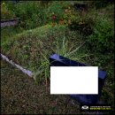 남양주시 배양리 공동묘지 단장1기 묘지개장 이미지