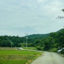 안골염소농장 이미지