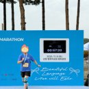 대왕슈퍼 | 2025 슈퍼블루 마라톤 10K 참여후기 + 코스후기