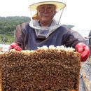 불태산농장 이미지