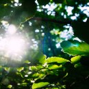 햇살가득 이미지