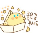 만성호