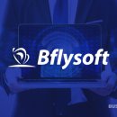 플라이 소프트 이미지