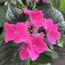 막노동을 승화시켰네요..~ 이미지